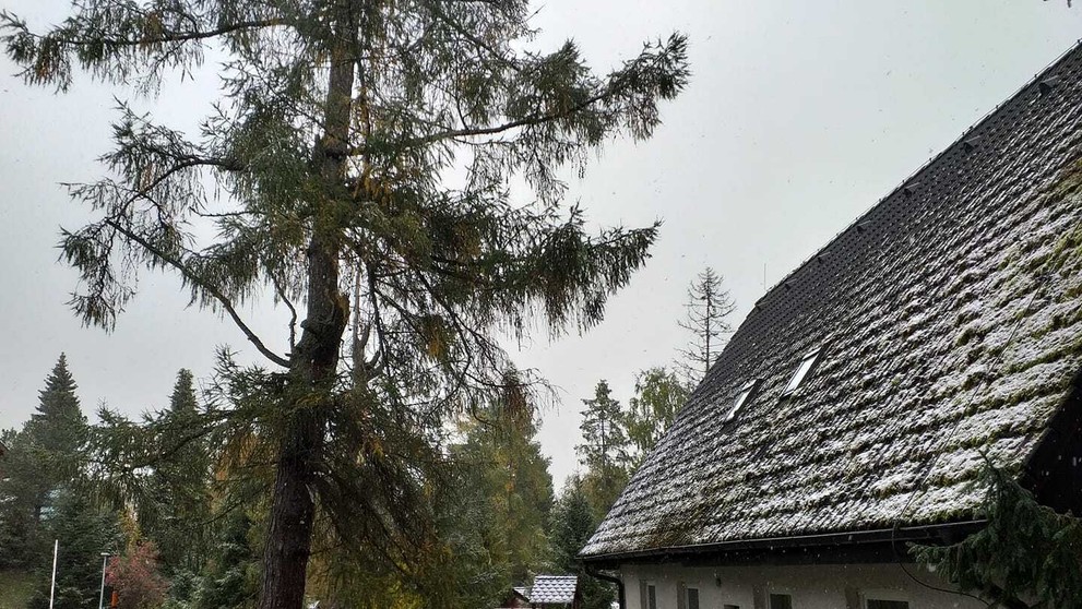 Foto od vás - Stara Lesna.