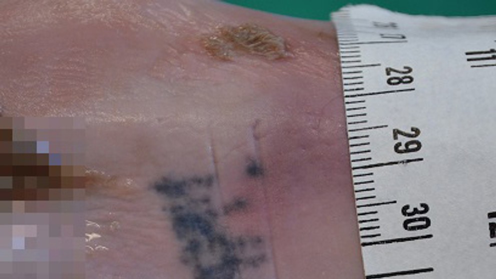 Tenista Rafael Nadal oslavuje triumf vo finále na Roland Garros.