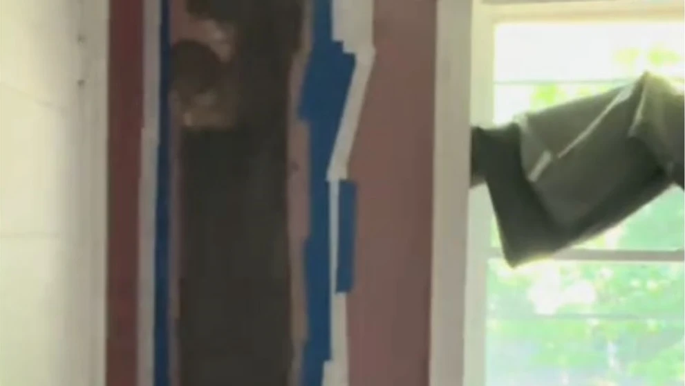 Včely sa usídlili v stene rodinného domu.