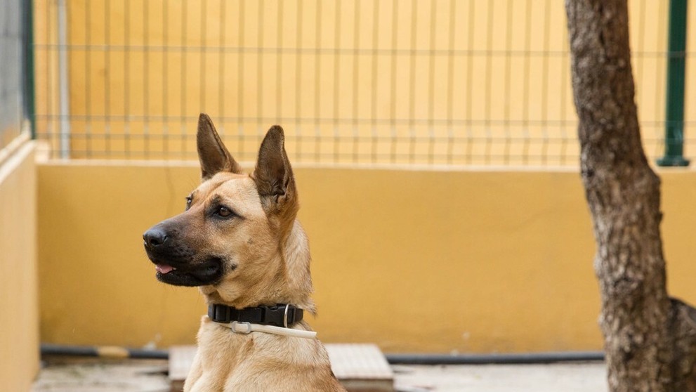Takto teraz Barilla vyzerá.