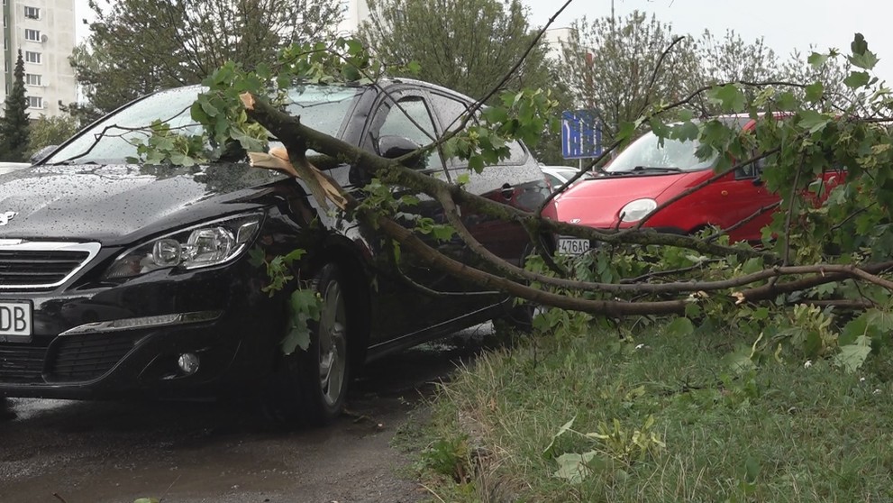 Strom spadol na auto v Dubnici nad Váhom.