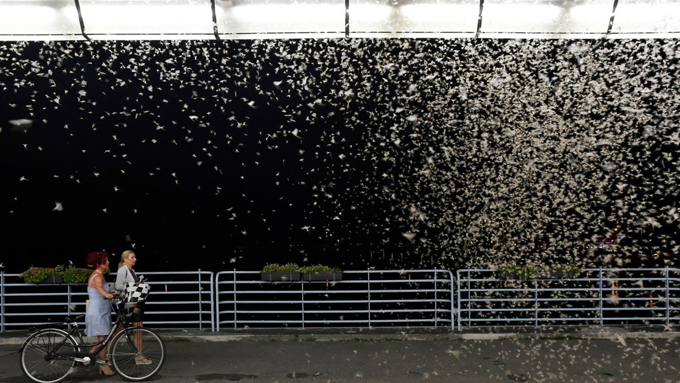Na snímke Kolonádový most cez rieku Váh počas večerného rojenia podeniek