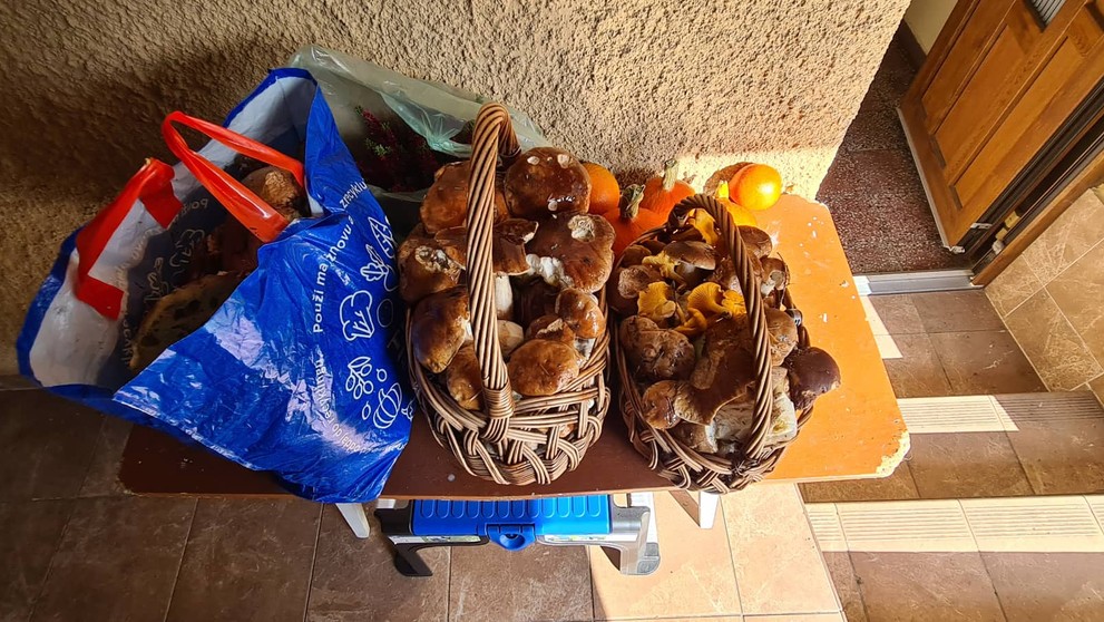 Jozef z Bánoviec nad Bebravou