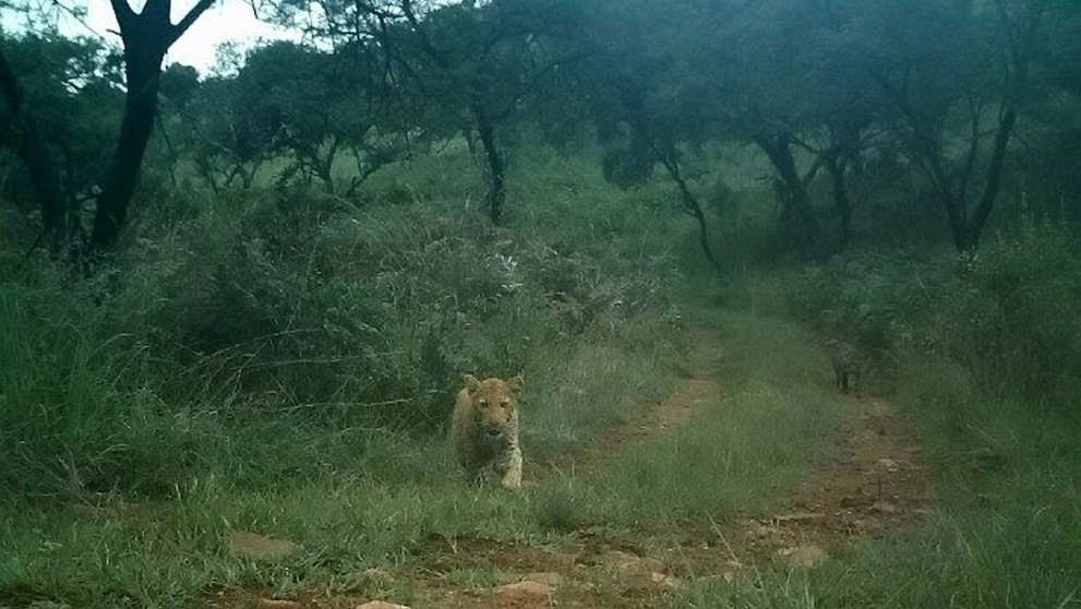 Alan Watson a jeho žena Lynsey.