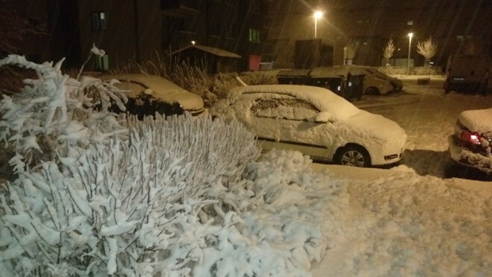 Snehová kalamita v Česku. 