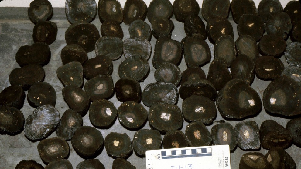 Feromangánové konkrécie.