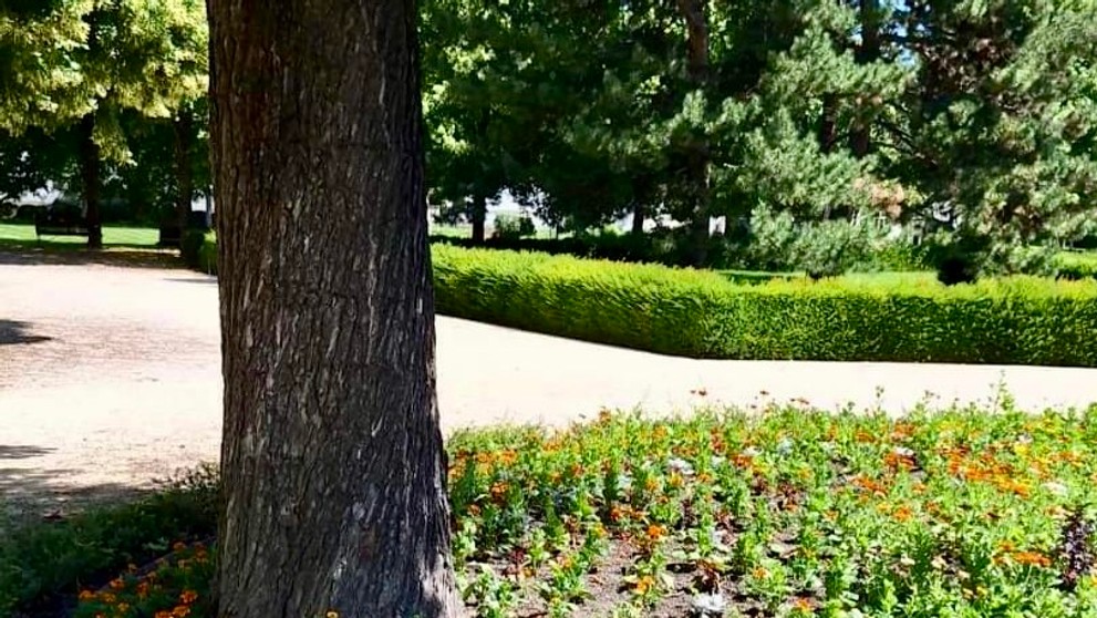 417405999_768101142180669_1620065532589042931_n