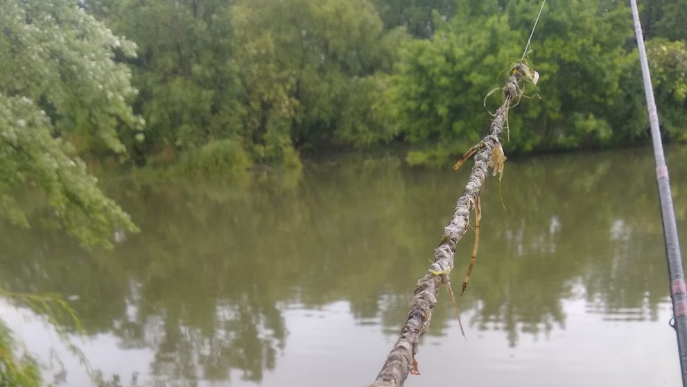 znečistený Malý Dunaj