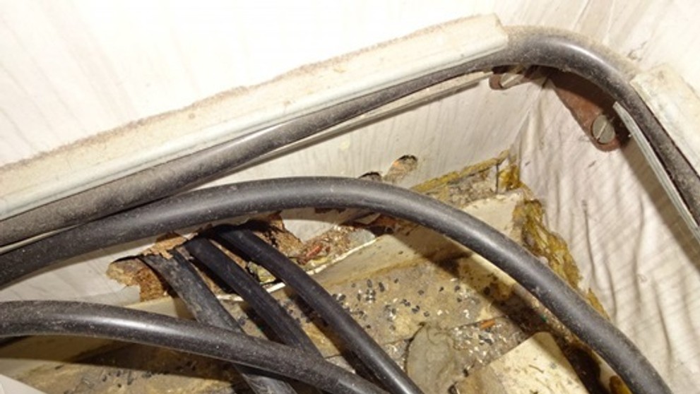 Potravinová kontrola.