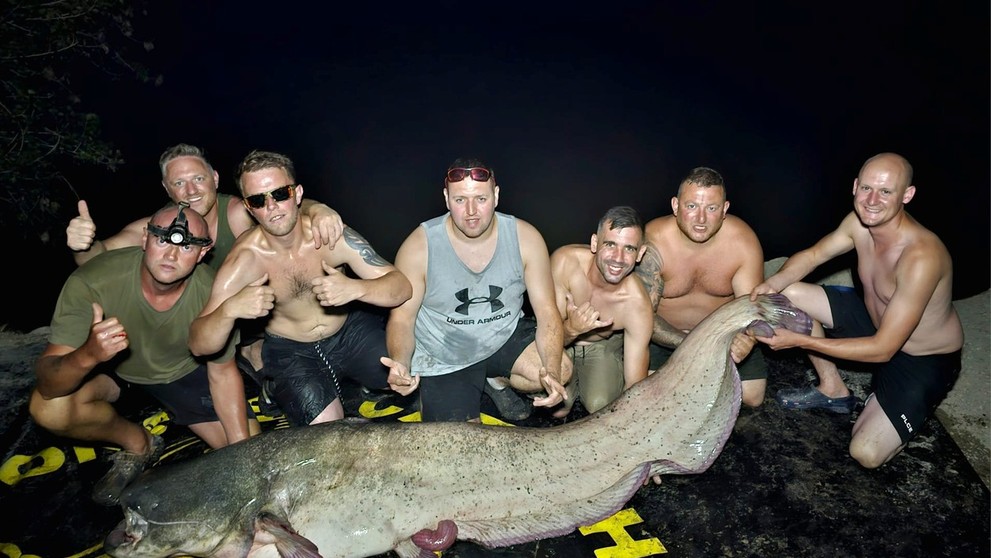 Rybári chytili obrovského sumca