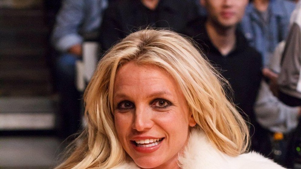 Britney Spears so Samom Asgharim a deťmi Seanom a Jaydenom Jamesom