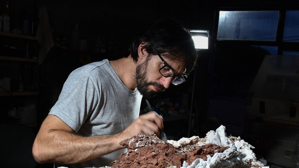 V Argentíne objavili takmer kompletnú kostru dinosaura Huayracursor jaguensis.