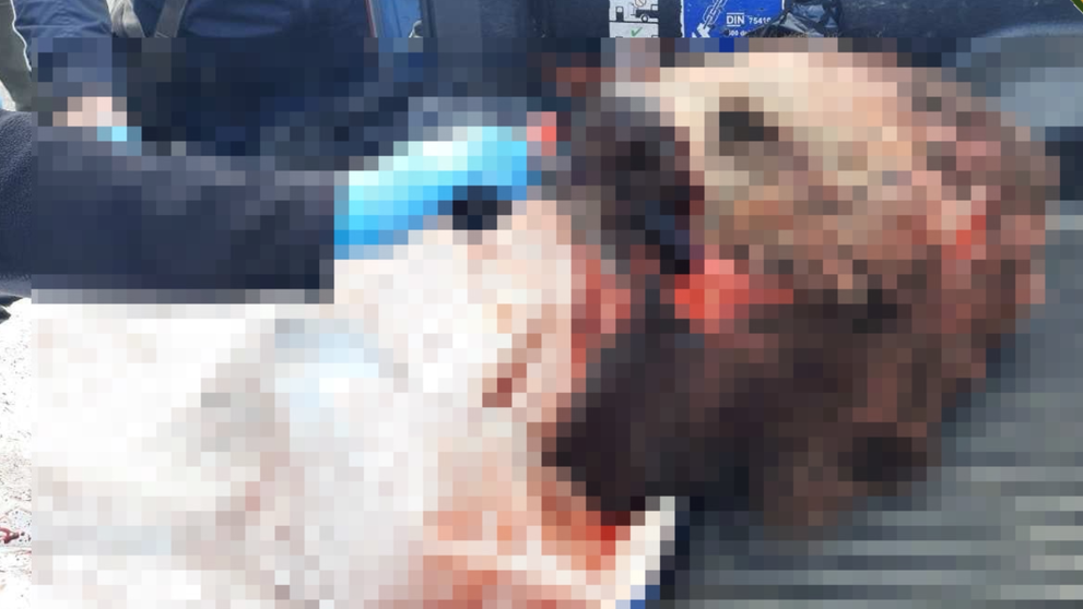 Nelegálne ulovená medvedica