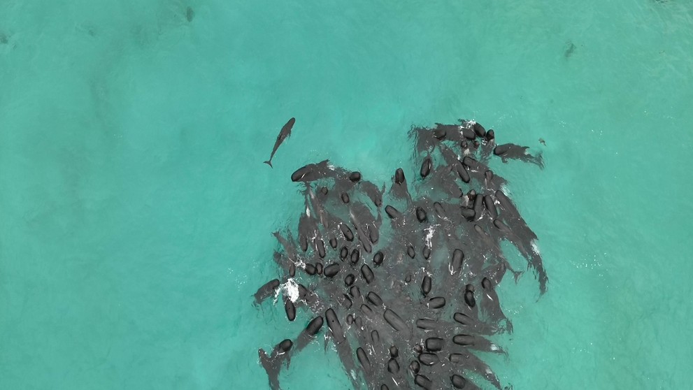 Nešťastie v Austrálii