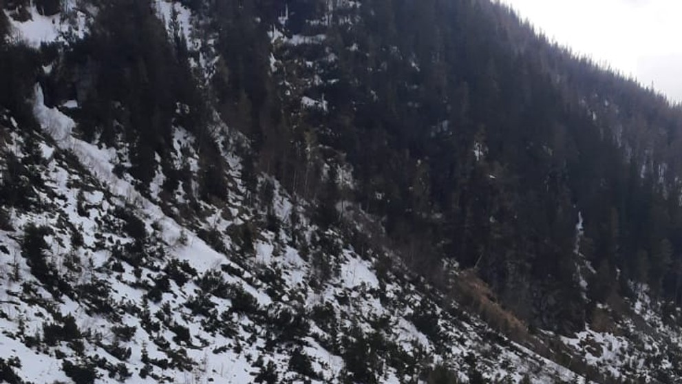 V Žiarskej doline spadla lavína