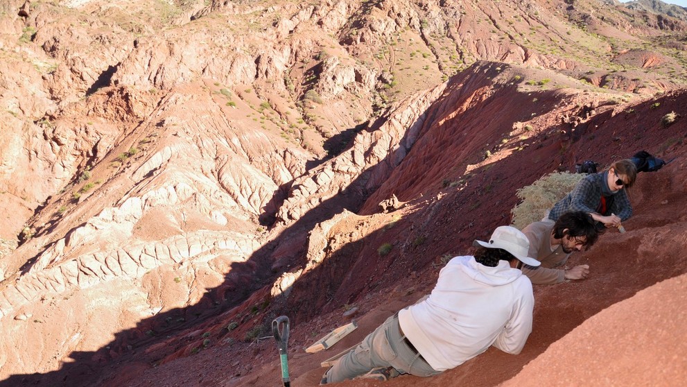 V Argentíne objavili takmer kompletnú kostru dinosaura Huayracursor jaguensis.