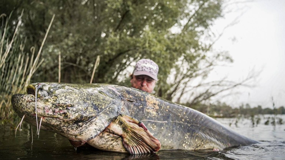 Jakub Vágner ulovil rekordného sumca.