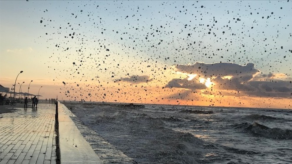 Predvolebne bannery na jednej zo škôl v Ramat Gane - predmestí Tel Avivu.