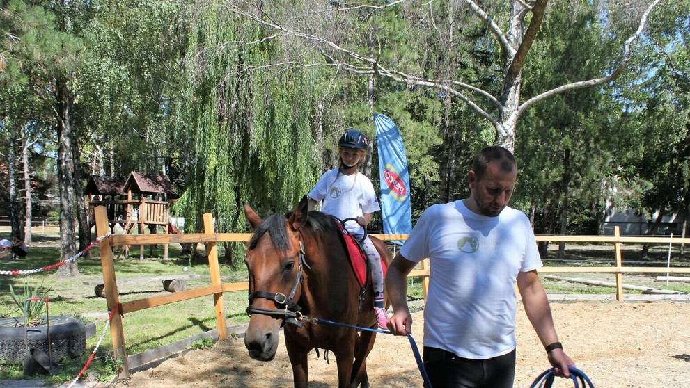 Na priaznivé účinky koní na ľudí 