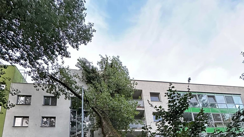 Spadnutý strom poškodil bytovku v Bratislave.