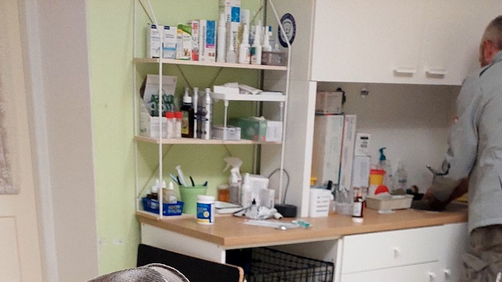 Psík momentálne už je v dobrých rukách. Musí zabojovať.