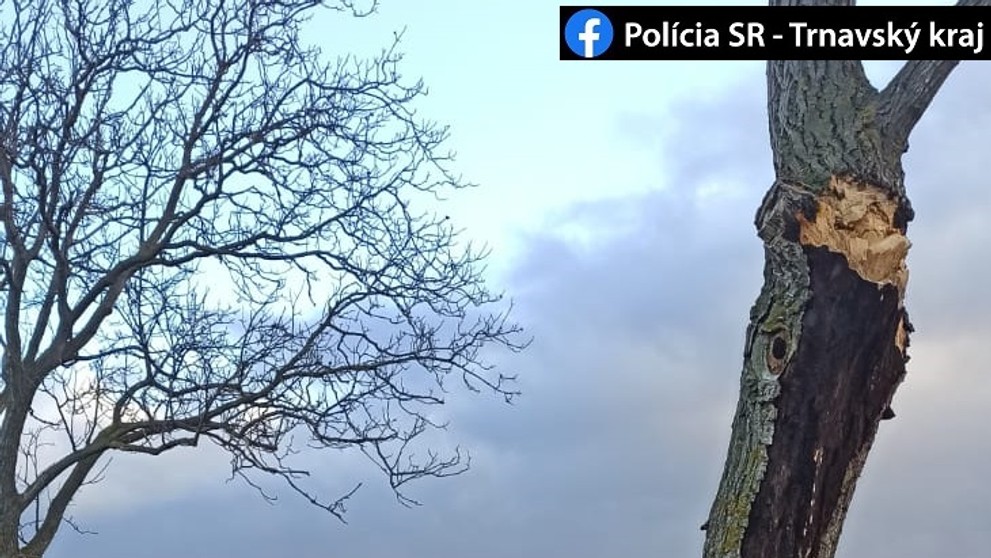 Auto sa doslova zakliesnilo do stromu.