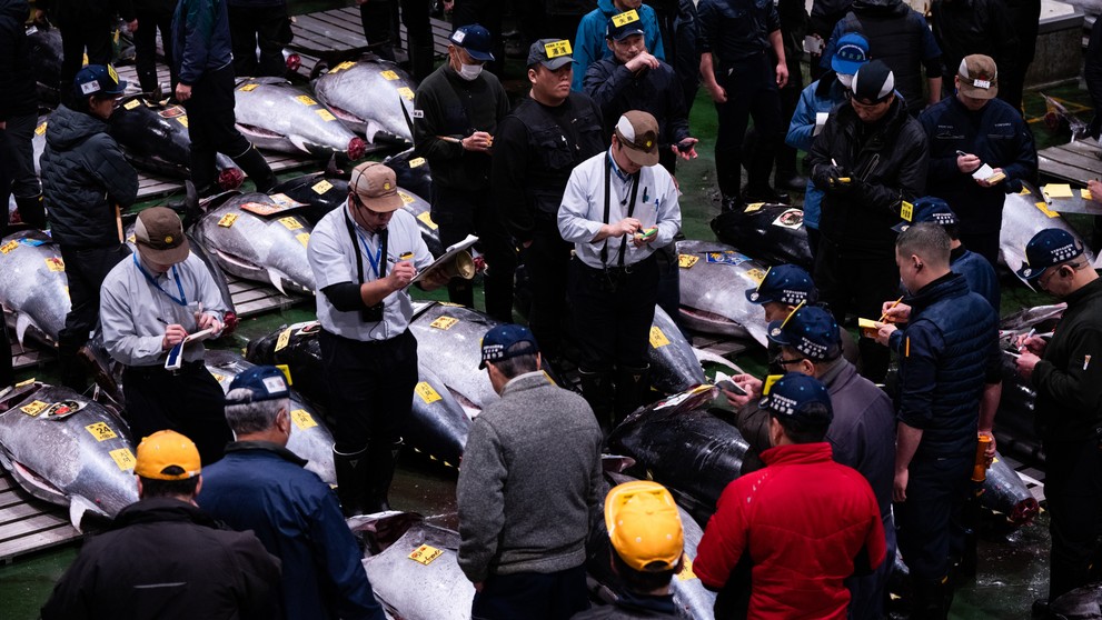 Veľkoobchodníci a kupujúci sa zúčastňujú novoročnej aukcie tuniaka na rybom trhu Toyosu v Tokiu.