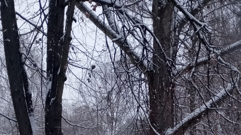 Prešov, Michal Jacko