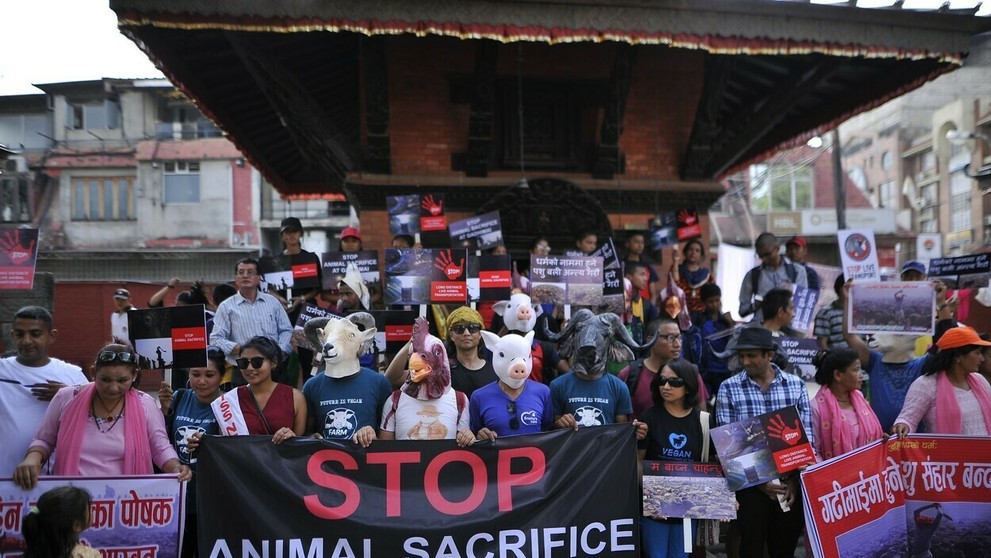 Najväčšie obetovanie zvierat na svete v Nepále