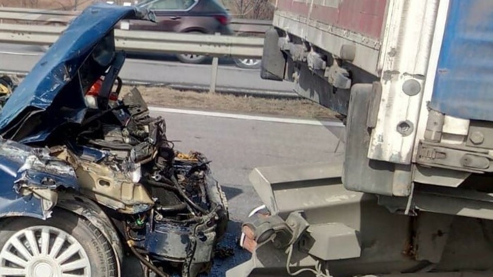 Ukradli psíkov Lady Gaga. Padali aj výstrely