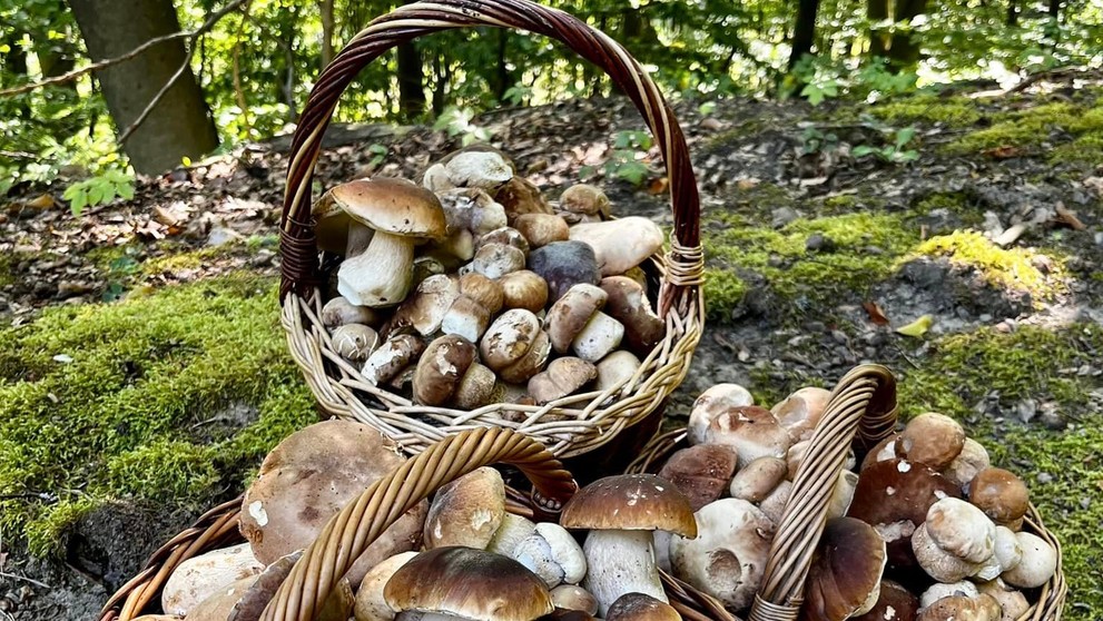 Slavomír Čičkán našiel toto všetko v Považskej Bystrici.