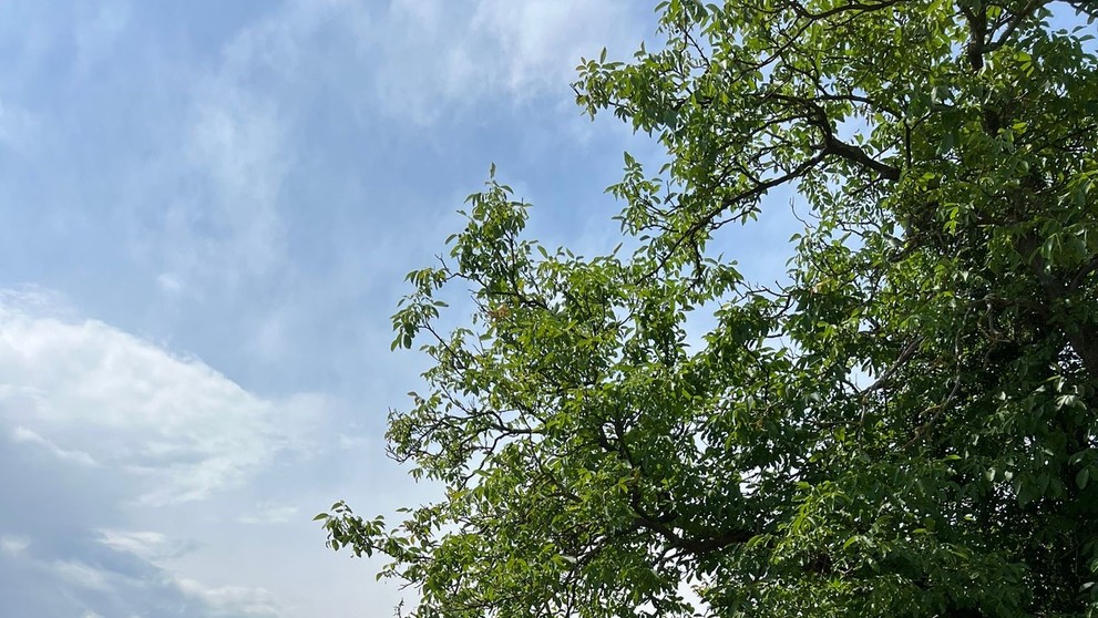 Nehoda v okrese Púchov