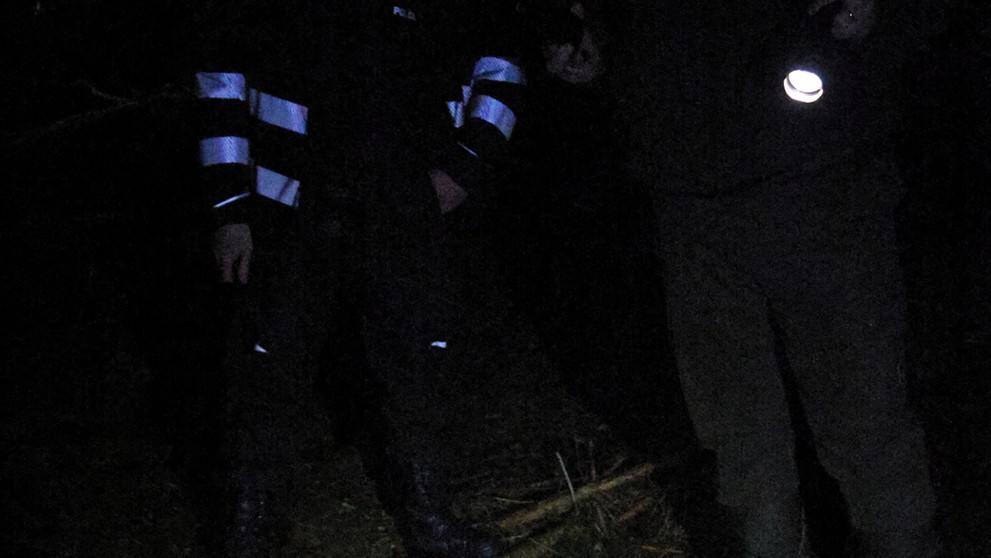 Zakrvavený medveď.