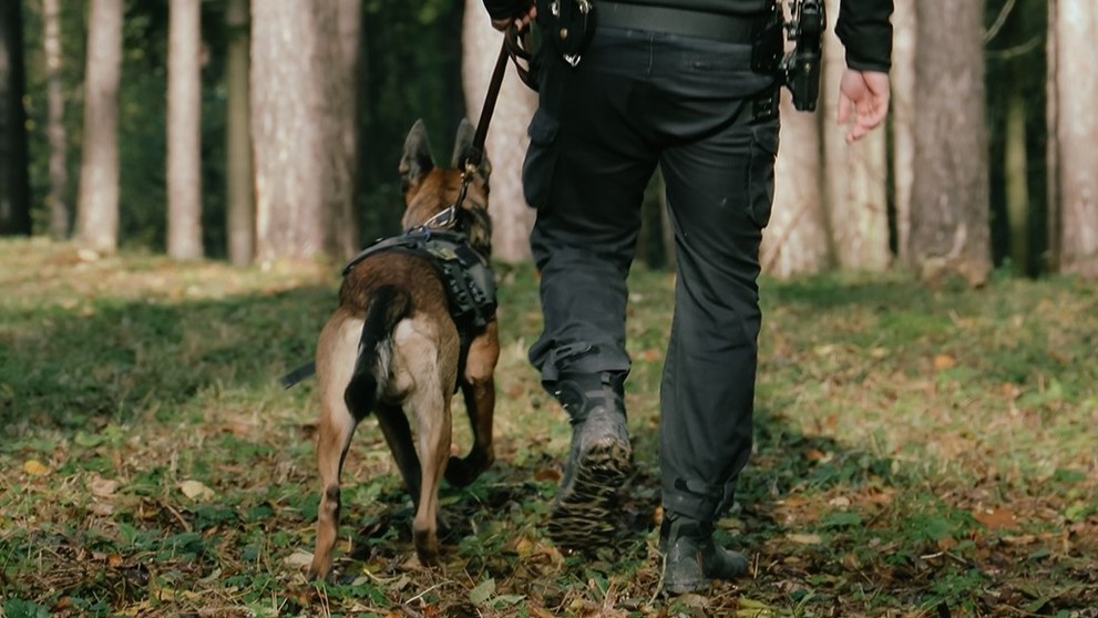 Tajomstvá o policajných psoch