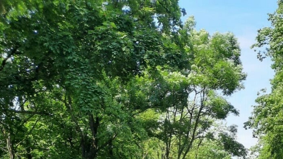 Nehoda pred Bielou Horou.