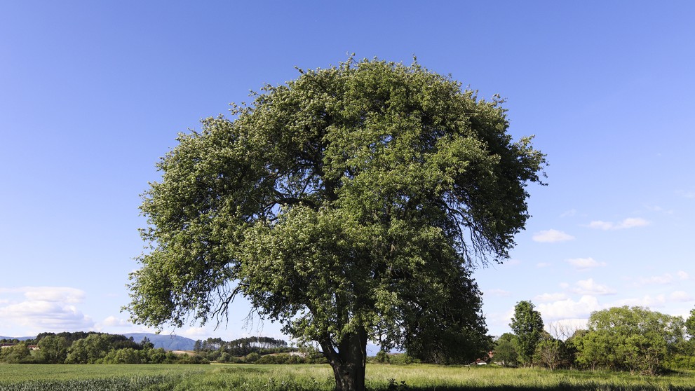Nehoda motorkára v okrese Púchov.