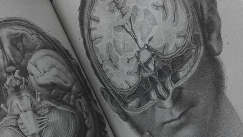 Crucial Interventions