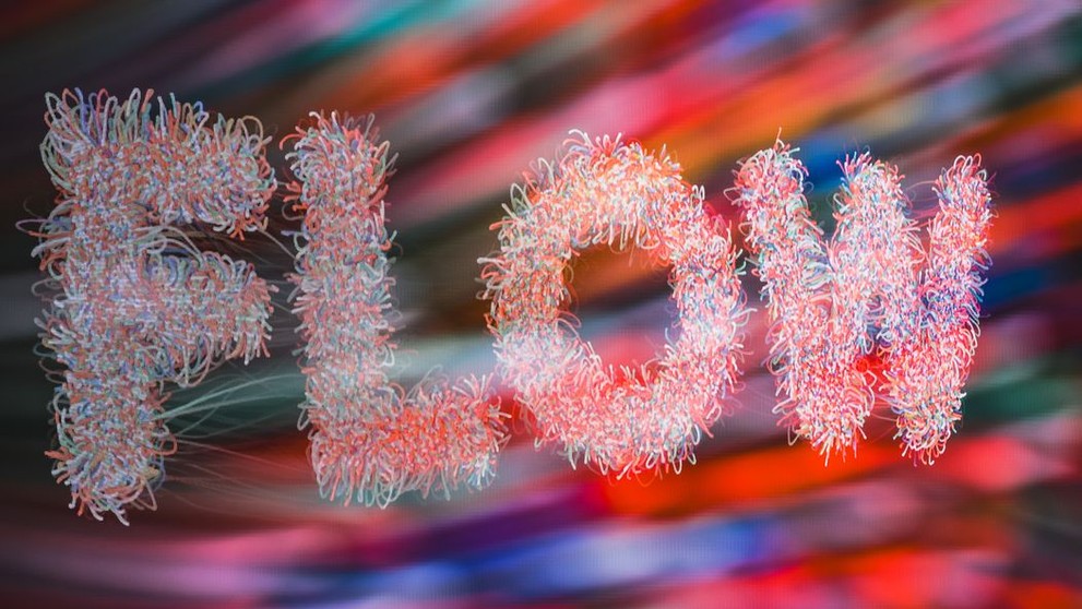 Umenie v tržnici 2025