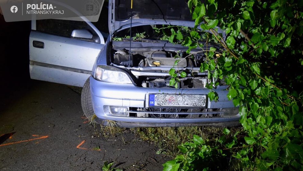 Tragická nehoda pri Šali