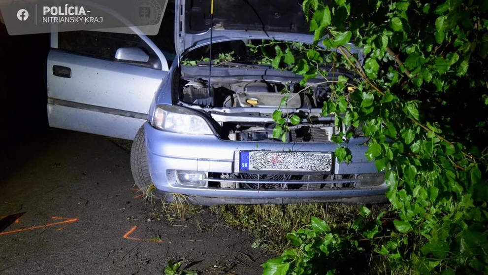 Tragická nehoda pri Šali