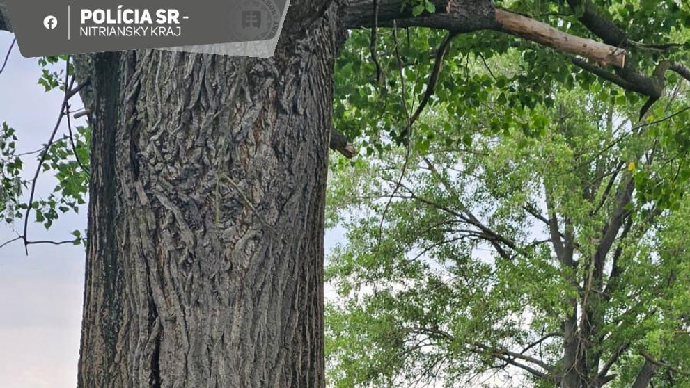 Tragická dopravná nehoda v Šali