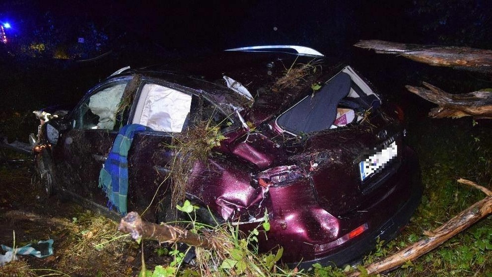 1610_Telerano_16_10_P20_Pi_06_00.mp4