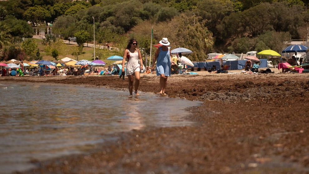 Ázijská riasa ničí pláže Španielska