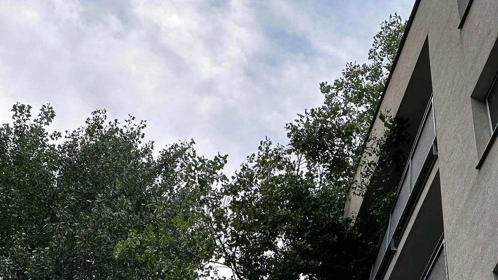 Spadnutý strom poškodil bytovku v Bratislave.