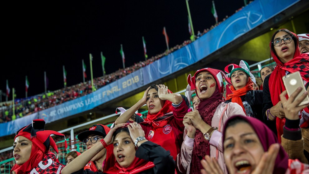 Snímka s názvom Inštinkt prežitia od Bence Matéa získala prvé miesto v kategórii  Príroda (single).