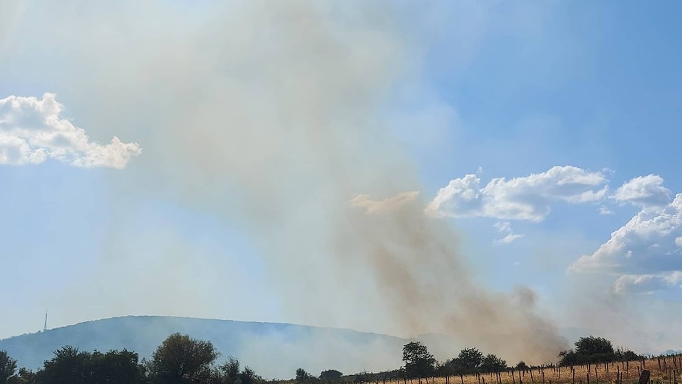 Požiar vo vinohradoch