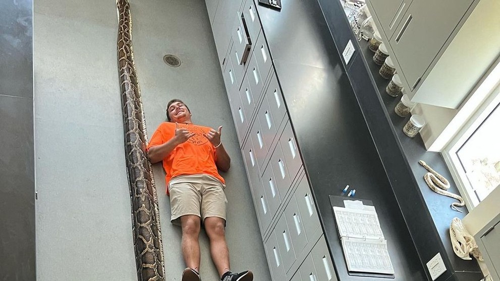 Rekordne dlhý pytón barmský.