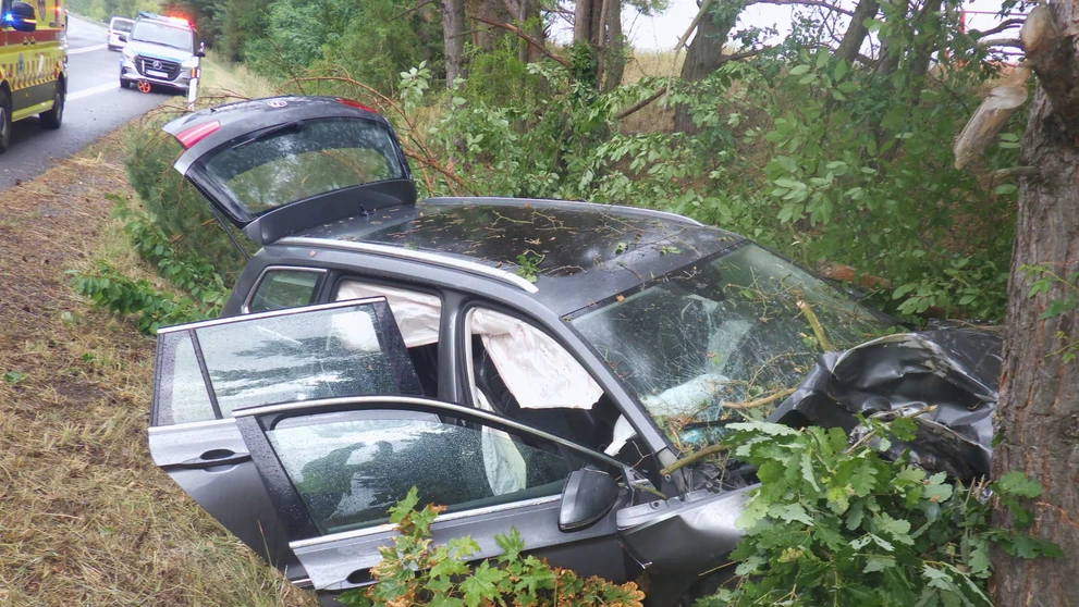 Auto vrazilo do stromu