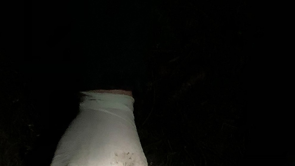 Rana v tele medveďa.