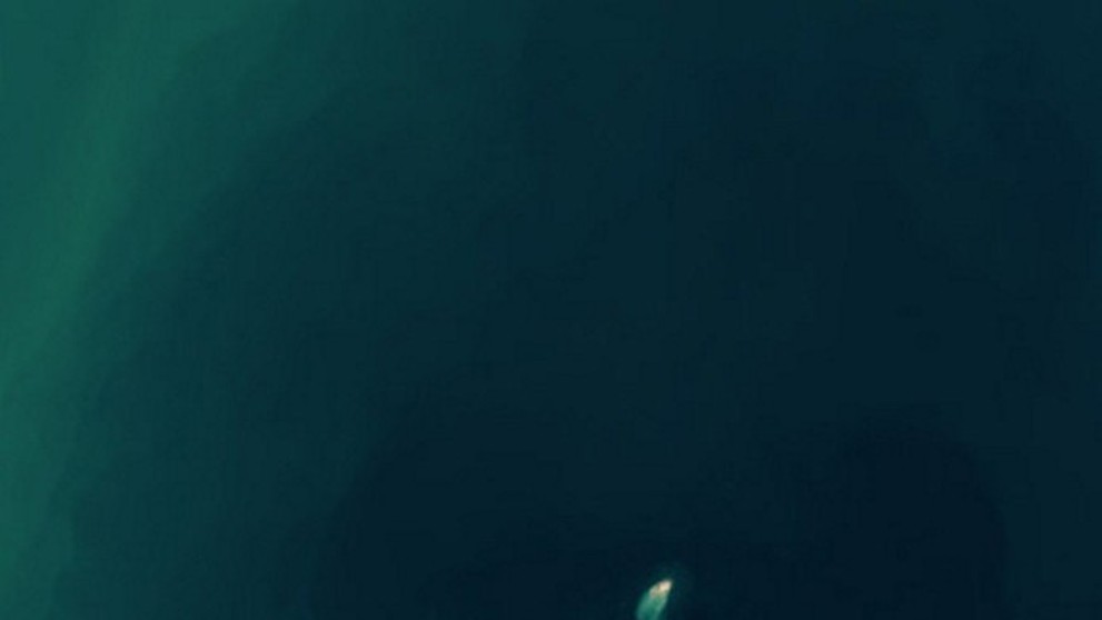 Ostrov zmizol tak rýchlo, ako sa objavil.